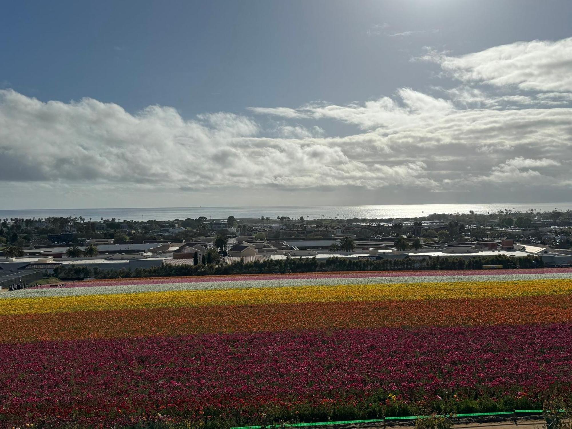 Holiday Inn Express Hotel & Suites Carlsbad Beach By Ihg Eksteriør bilde