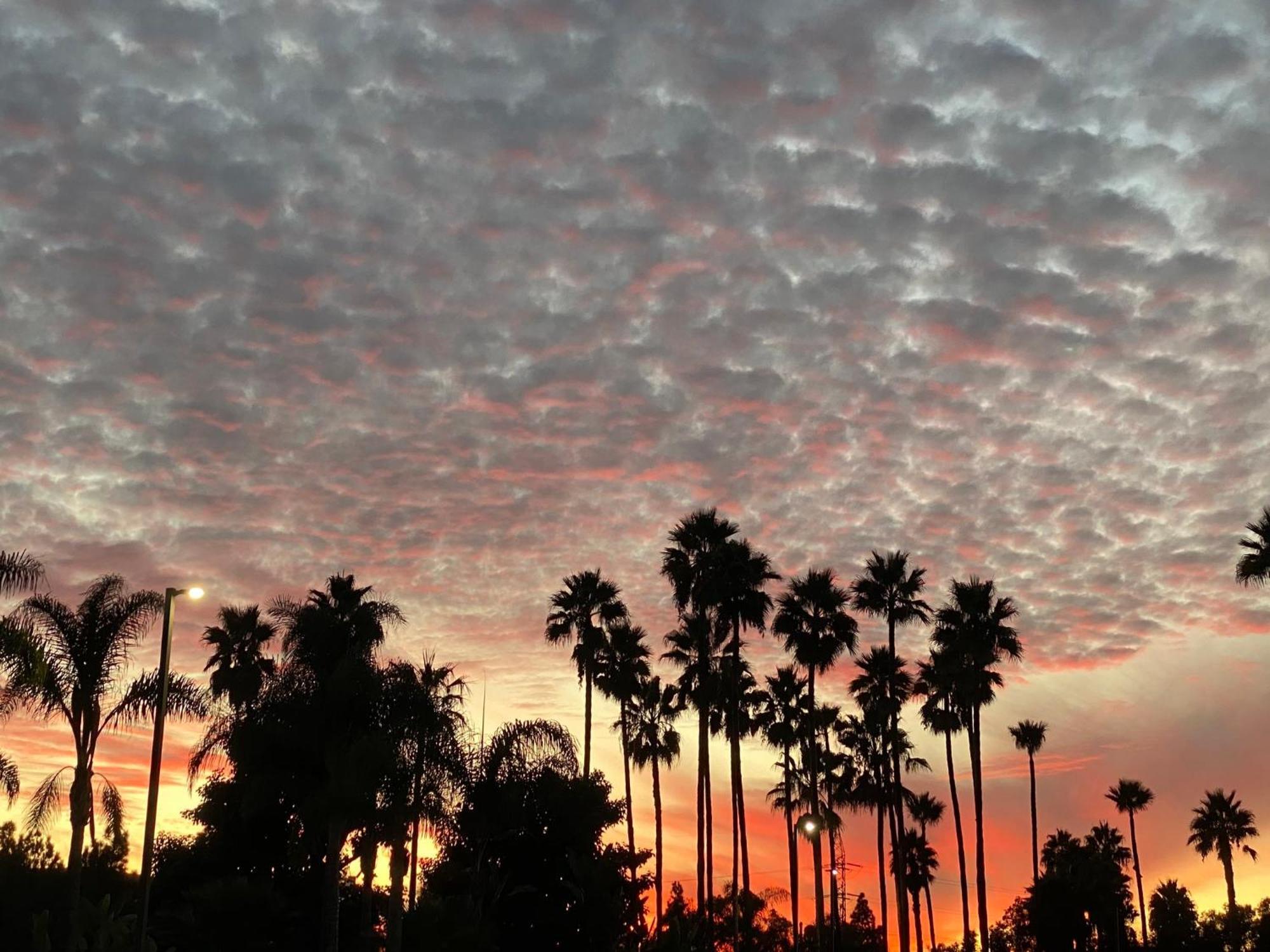 Holiday Inn Express Hotel & Suites Carlsbad Beach By Ihg Eksteriør bilde